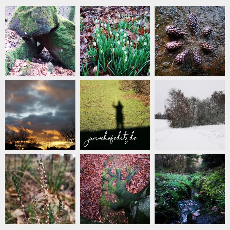 Collage aus verschiedenen Naturmotiven