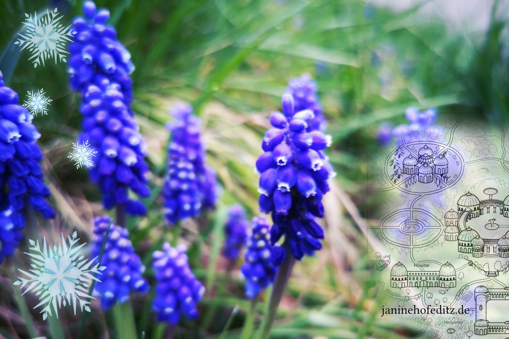 Collage aus Traubenhyazinthen, illustrierten Schneeflocken und einer Fantasy-Landkarte